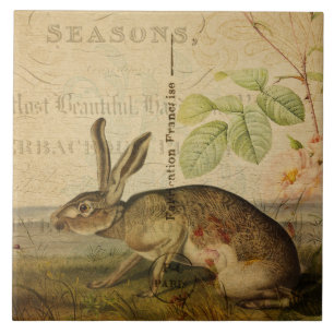 Vintage Hare Animal Illustration Floral Collage Ceramic Tile