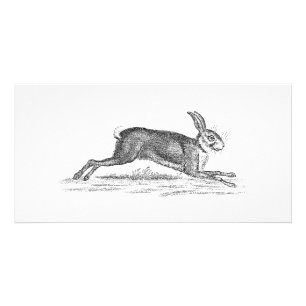 Vintage Hare Bunny Rabbit 1800s Illustration Card