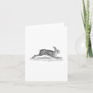 Vintage Hare Bunny Rabbit 1800s Illustration Card