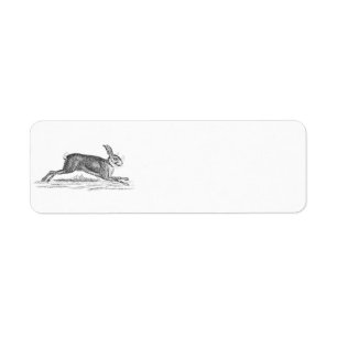 Vintage Hare Bunny Rabbit 1800s Illustration Label
