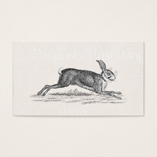 Customizable Vintage Hare Bunny Rabbit Illustration - Rabbits Business Card