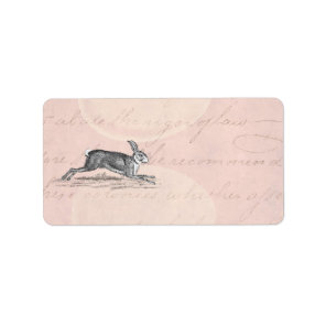 Vintage Hare Bunny Rabbit Illustration - Rabbits Label