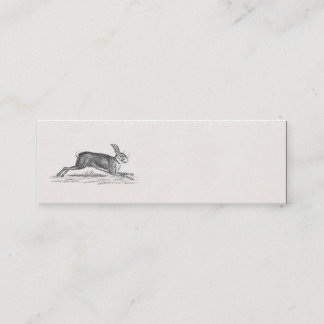 Vintage Hare Bunny Rabbit Illustration - Rabbits Mini Business Card