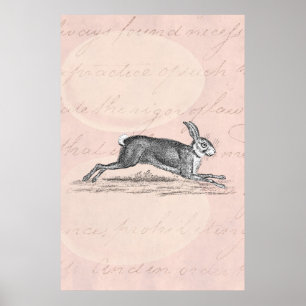 Vintage Hare Bunny Rabbit Illustration - Rabbits Poster