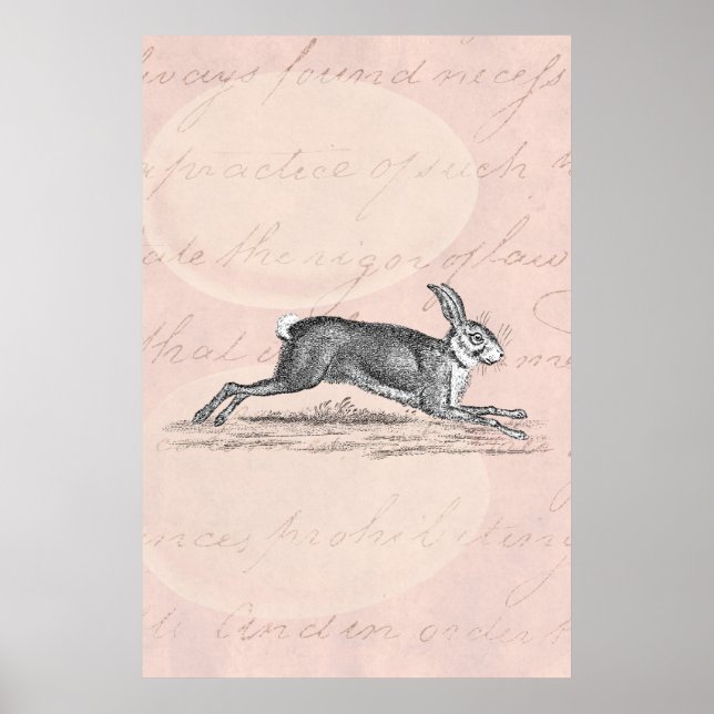 Vintage Hare Bunny Rabbit Illustration - Rabbits Poster (Front)