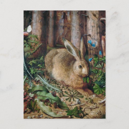 Vintage Hare in the Forest _ Hans Hoffmann Postcard