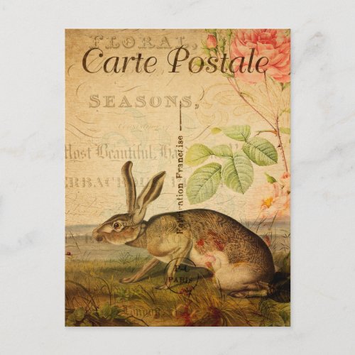 Vintage Hare Rabbit Floral Flowers French Postcard