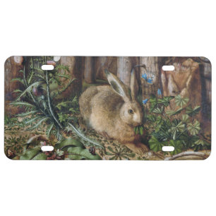 Vintage Hare Woodland Nature Dark Cottagecore License Plate