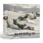 Vintage Harp Seals in Arctic Snow by Louis Fuertes 3 Ring Binder