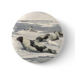 Vintage Harp Seals in Arctic Snow by Louis Fuertes Button