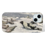Vintage Harp Seals in Arctic Snow by Louis Fuertes iPhone 15 Case