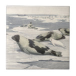 Vintage Harp Seals in Arctic Snow by Louis Fuertes Ceramic Tile