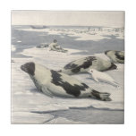 Vintage Harp Seals in Arctic Snow by Louis Fuertes Ceramic Tile