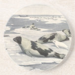 Vintage Harp Seals in Arctic Snow by Louis Fuertes Drink Coaster