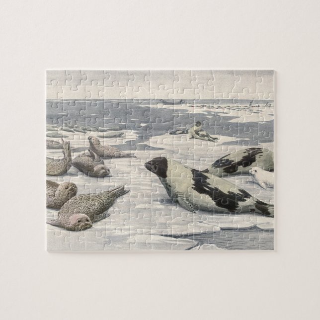 Vintage Harp Seals in Arctic Snow by Louis Fuertes Jigsaw Puzzle (Horizontal)