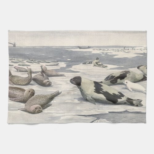 Vintage Harp Seals in Arctic Snow by Louis Fuertes Kitchen Towel