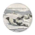 Vintage Harp Seals in Arctic Snow by Louis Fuertes Magnet