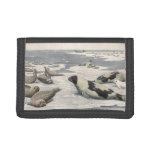 Vintage Harp Seals in Arctic Snow by Louis Fuertes Trifold Wallet