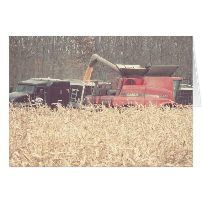 Vintage Harvest Cards (Front Horizontal)