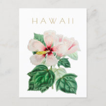 Vintage Hawaii state flower travel mid century Pos
