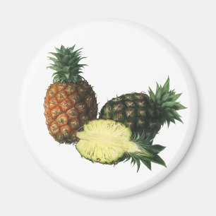 Vintage Hawaiian Pineapples, Organic Food Fruit Magnet