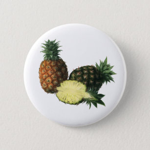 Vintage Hawaiian Pineapples, Organic Food Fruit Pinback Button