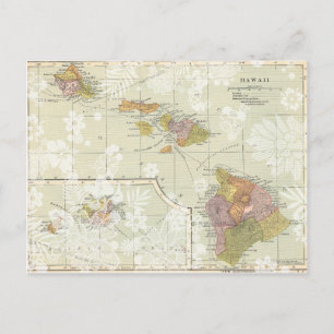 Vintage Hawaiian Postcard Save the Date