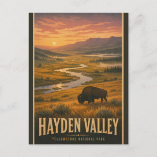 Vintage Hayden Valley Yellowstone National Park Postcard