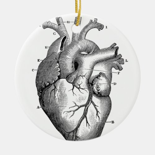 Vintage Heart Anatomy  Customizable Ceramic Ornament