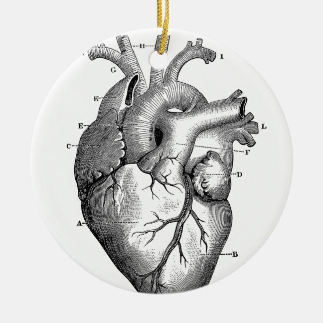 Vintage Heart Anatomy | Customizable Ceramic Ornament (Front)