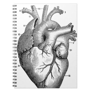 Vintage Heart Anatomy Customizable Notebook