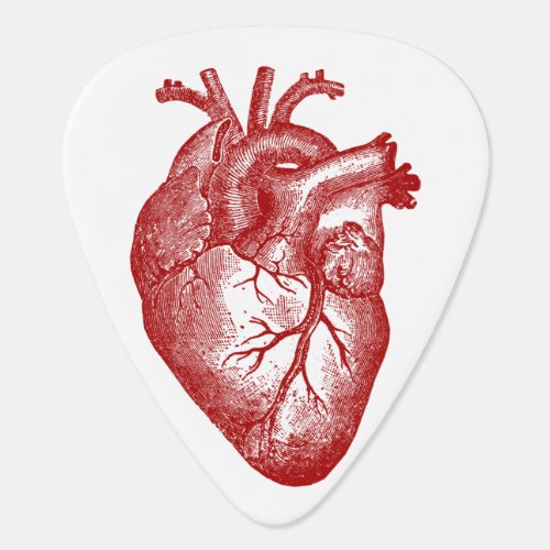 Vintage Heart Anatomy Guitar Pick