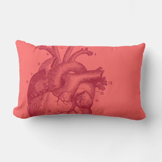 Vintage Heart - anatomy Lumbar Pillow (Front)