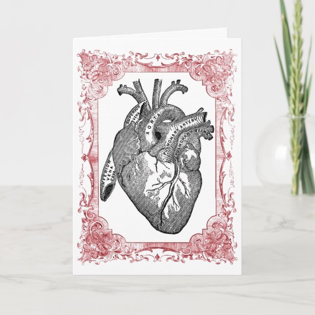 Vintage Heart Anatomy Valentine Greeting Card (Front)