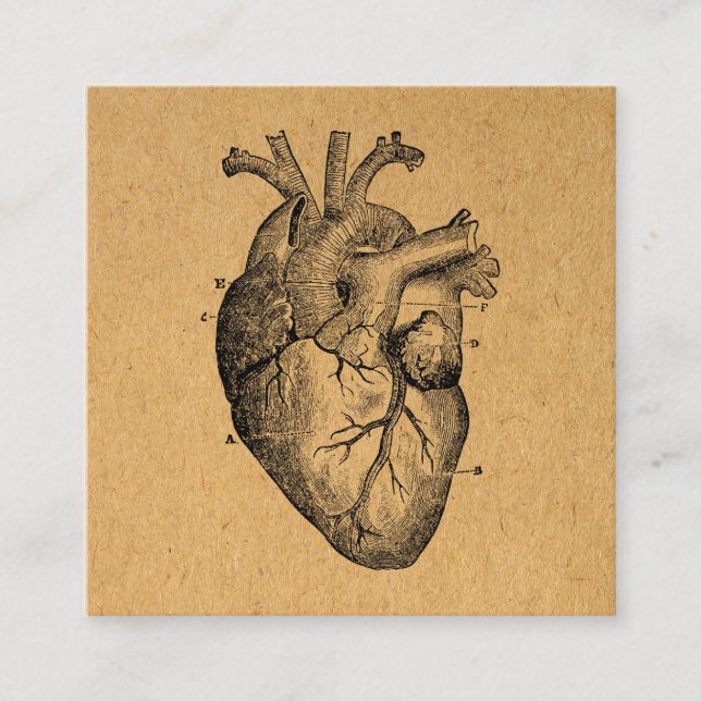 Vintage Heart Diagram Illustration Vintage Art Enclosure Card (Front)