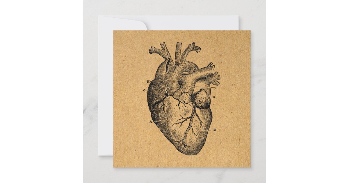 Vintage Heart Diagram Illustration Vintage Art Invitation | Zazzle