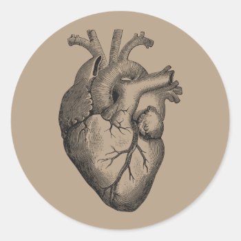 Vintage Heart Illustration Classic Round Sticker by ThinxShop at Zazzle
