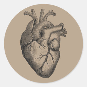 Vintage Heart Illustration Classic Round Sticker