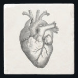 Vintage Heart Illustration Stone Coaster<br><div class="desc">A modified version of a vintage heart illustration</div>