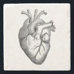 Vintage Heart Illustration Stone Coaster<br><div class="desc">A modified version of a vintage heart illustration</div>