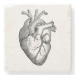 Vintage Heart Illustration Stone Coaster