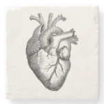 Vintage Heart Illustration Stone Coaster Vintage Heart Illustration Stone Coaster