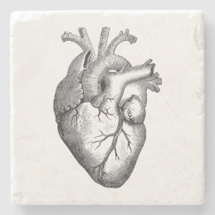 Vintage Heart Illustration Stone Coaster