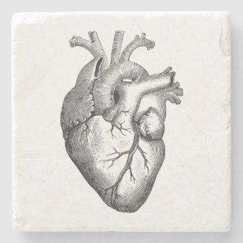 Vintage Heart Illustration Stone Coaster by ThinxShop at Zazzle