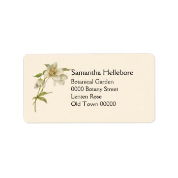 Vintage Hellebore Address Label by Past_Impressions at Zazzle