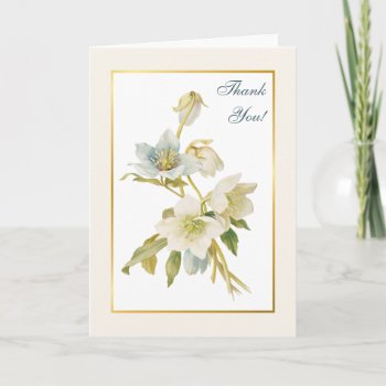 Vintage Hellebore Flowers Thank You by Past_Impressions at Zazzle
