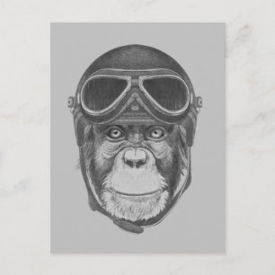 Vintage Helmet Chimpanzee Postcard