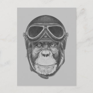 Vintage Helmet Chimpanzee Postcard