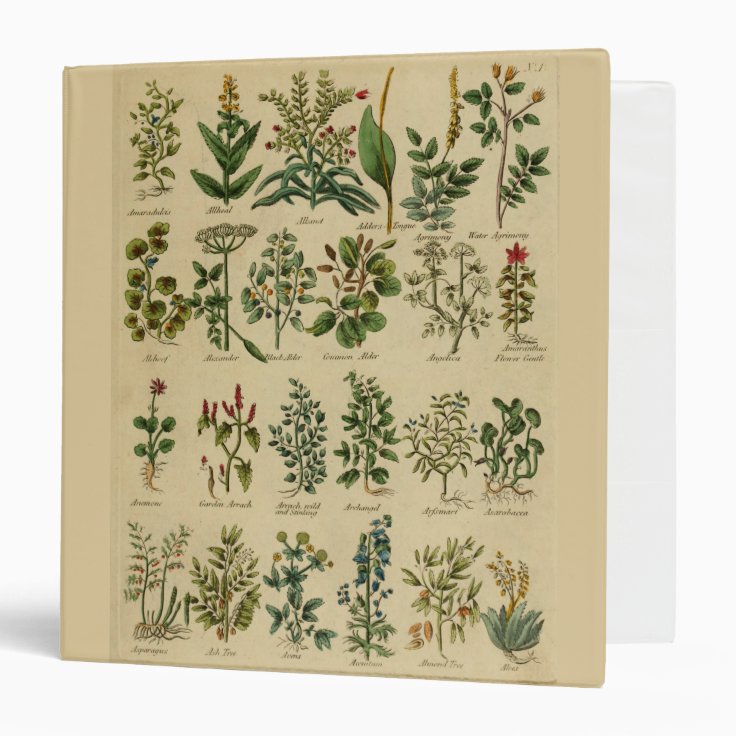 Vintage Herbal Binder Zazzle