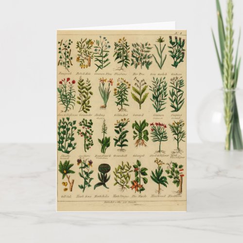 Vintage Herbal Greeting Card Series - 3